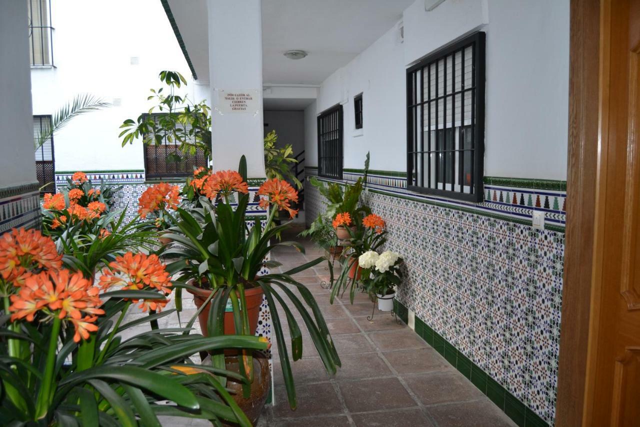 Nuevo Sueno Del Alcazar Apartment Cordoba Exterior photo